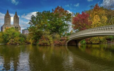 Quel est les animaux que l’on peut voir à Central Park ?